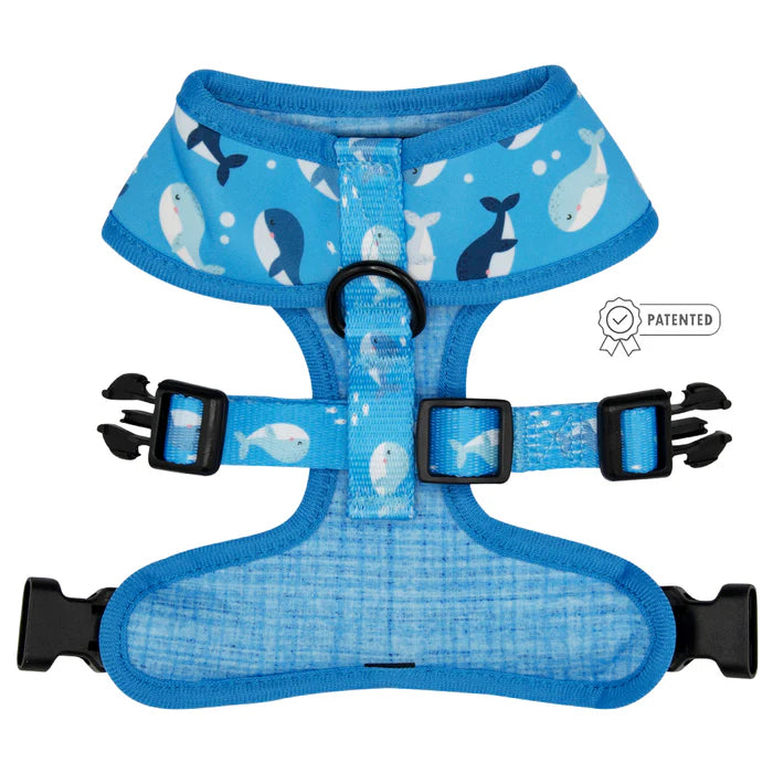 Might As Whale - Modern Dog Reversible Harness