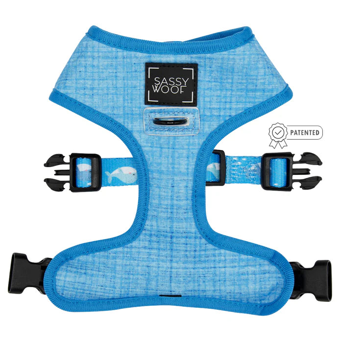 Might As Whale - Modern Dog Reversible Harness