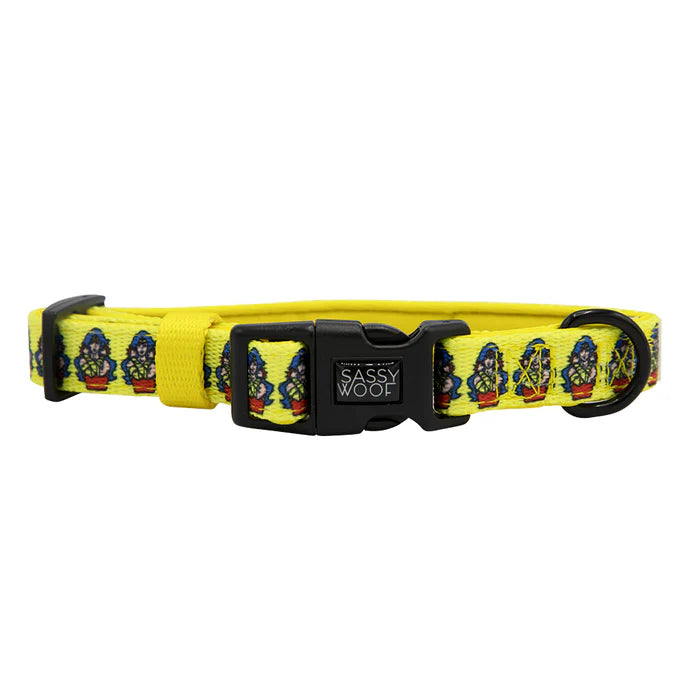 Wonder Woman™ - Modern Dog Collar