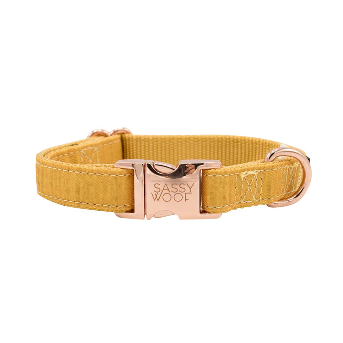 Sunflower Fields - Modern Dog Collar