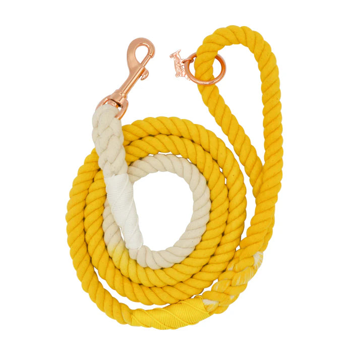 Lemon Drop - Modern Dog Rope Leash