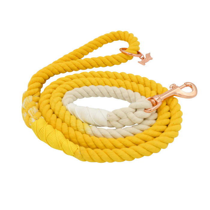 Lemon Drop - Modern Dog Rope Leash