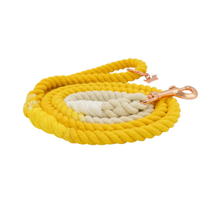 Lemon Drop - Modern Dog Rope Leash