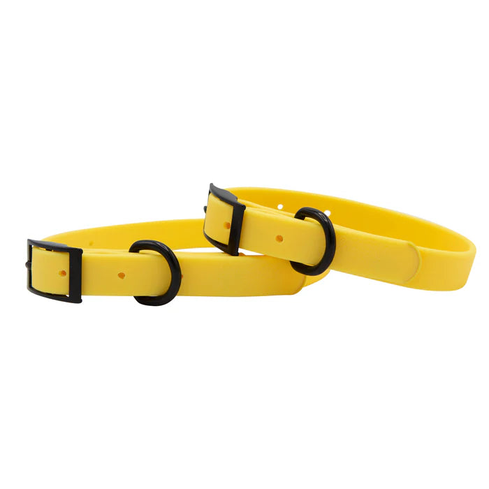 Yellow - Modern Waterproof Dog Collar