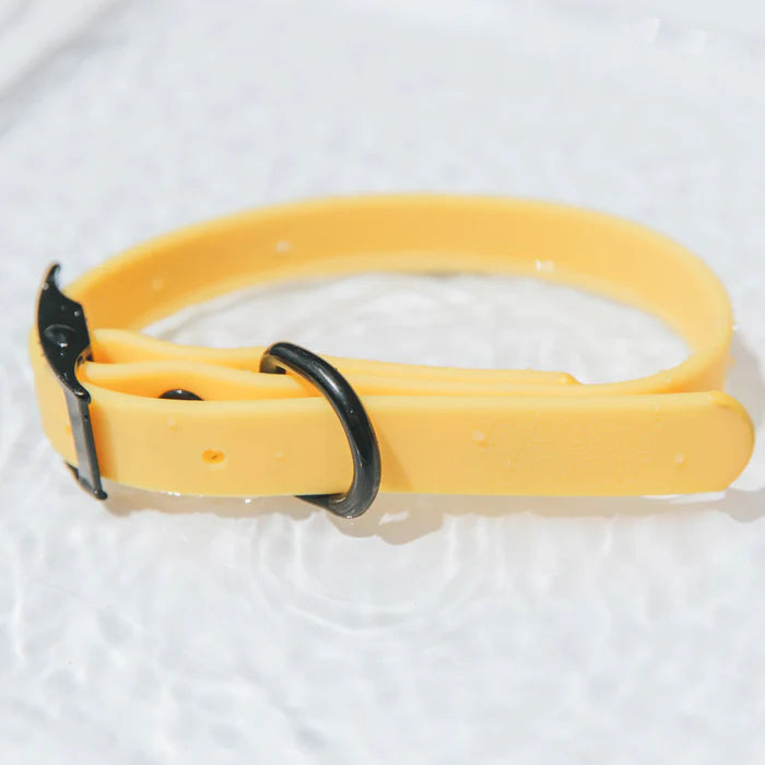 Yellow - Modern Waterproof Dog Collar