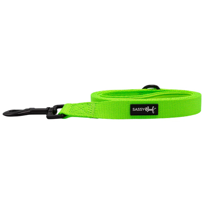 Neon Green - Modern Dog Leash