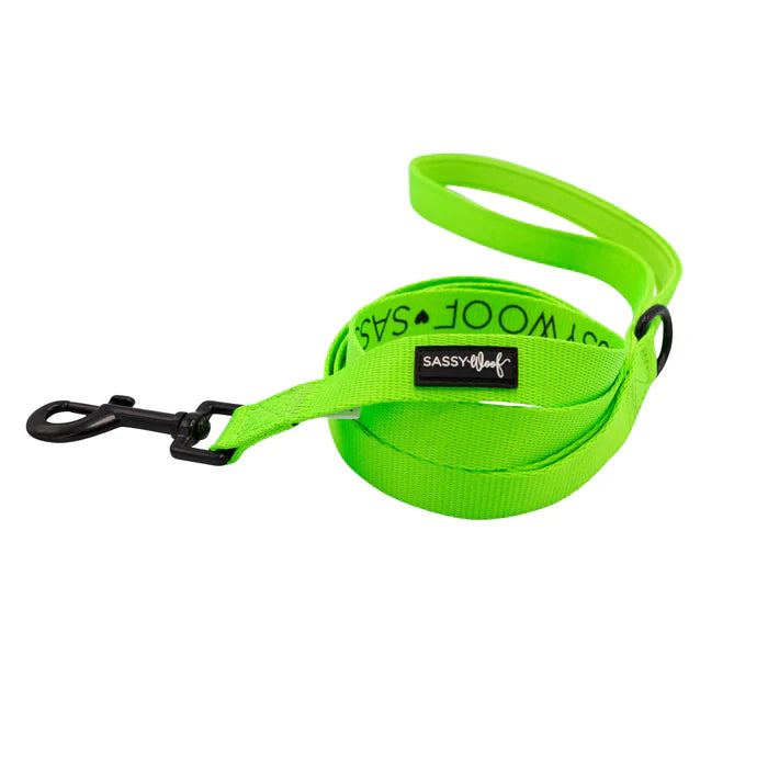 Neon Green - Modern Dog Leash