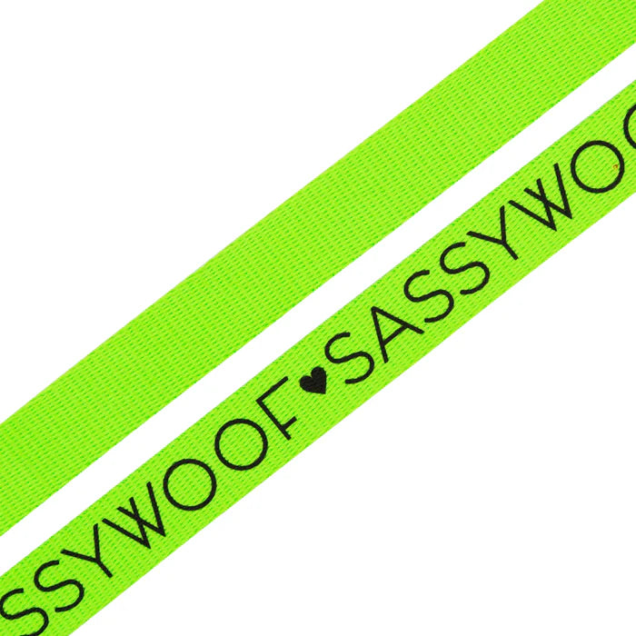 Neon Green - Modern Dog Leash