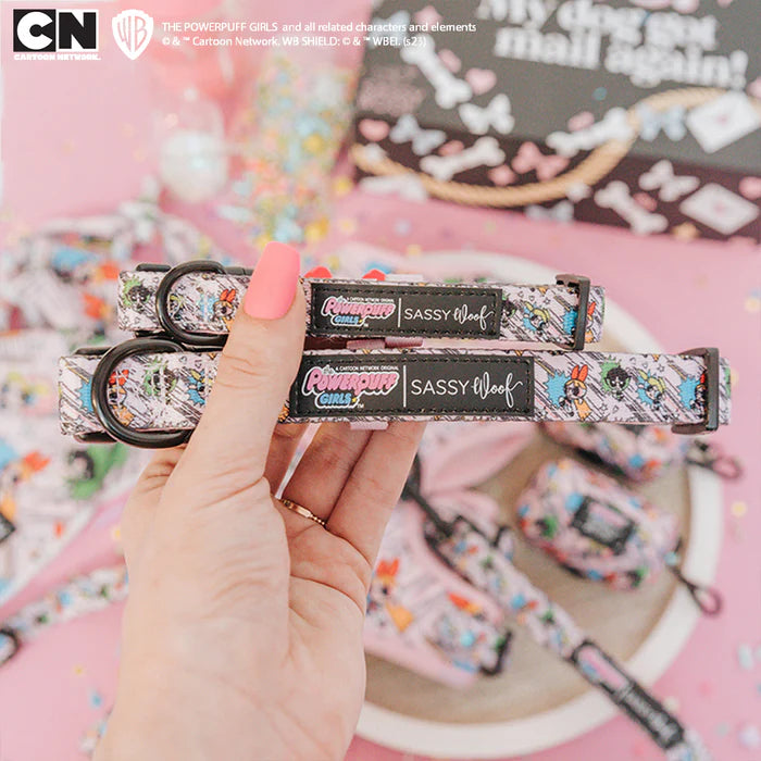 The Powerpuff Girls™ (Pink) - Modern Dog Collar