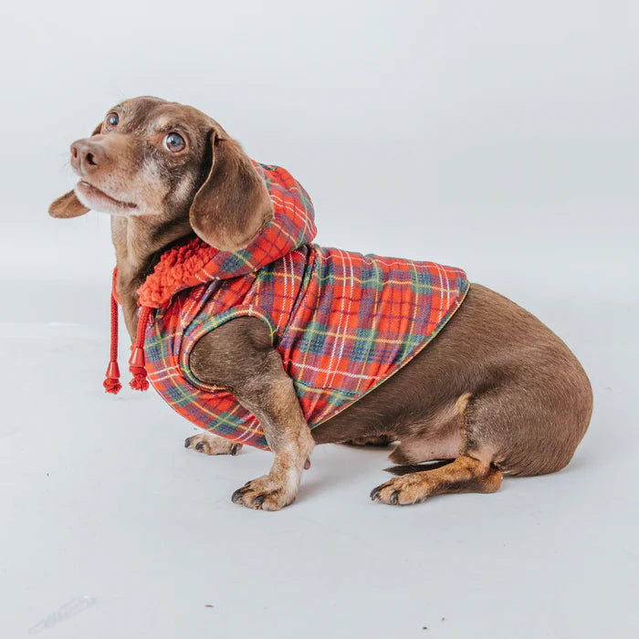 Deck The Paws - Modern Dog Reversible Sherpa Jacket