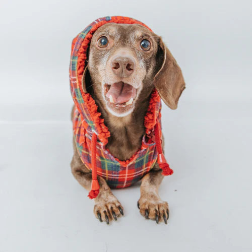 Deck The Paws - Modern Dog Reversible Sherpa Jacket