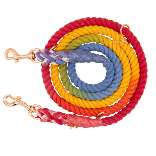 Taste the Rainbow - Modern Hands-Free Dog Rope Leash