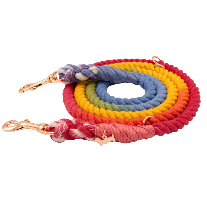 Taste the Rainbow - Modern Hands-Free Dog Rope Leash