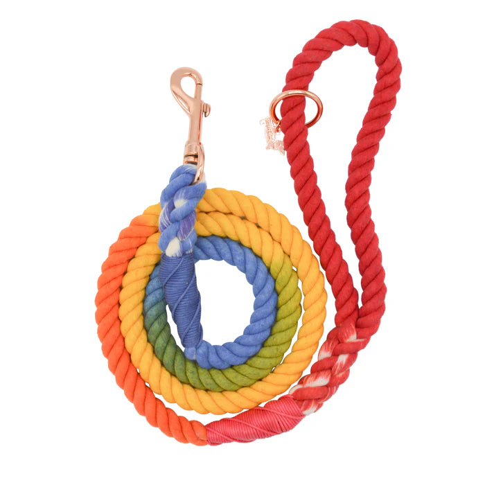 Taste The Rainbow - Modern Dog Rope Leash