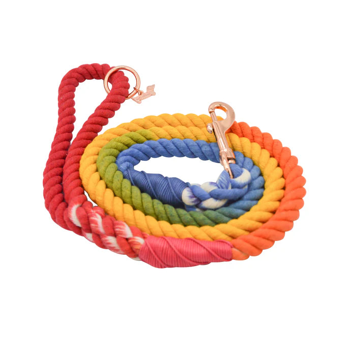 Taste The Rainbow - Modern Dog Rope Leash