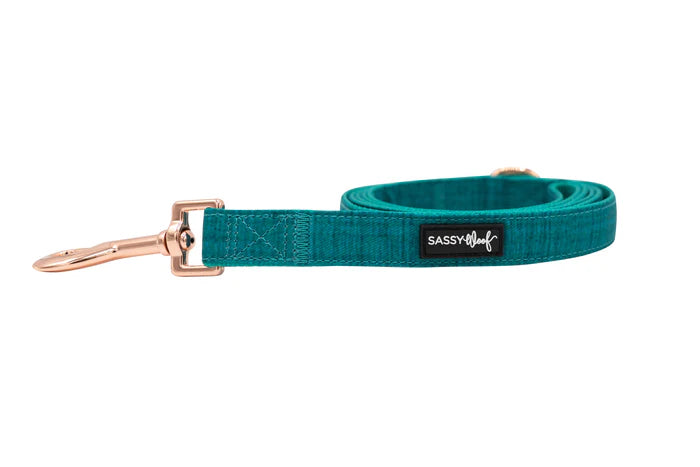 Napa - Modern Dog Leash