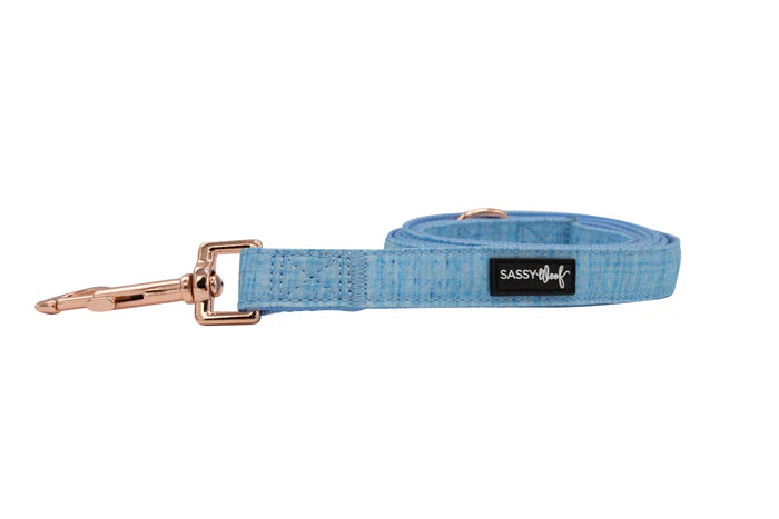 Blumond - Modern Dog Leash