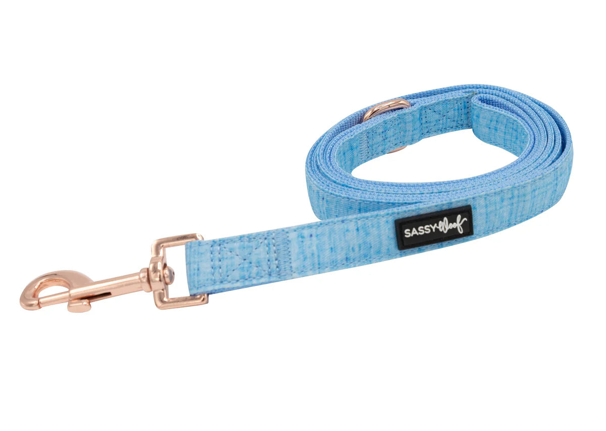 Blumond - Modern Dog Leash