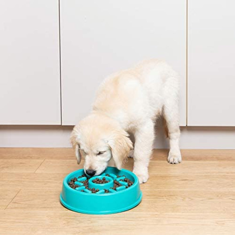 Donut Slow Feeder Bowl