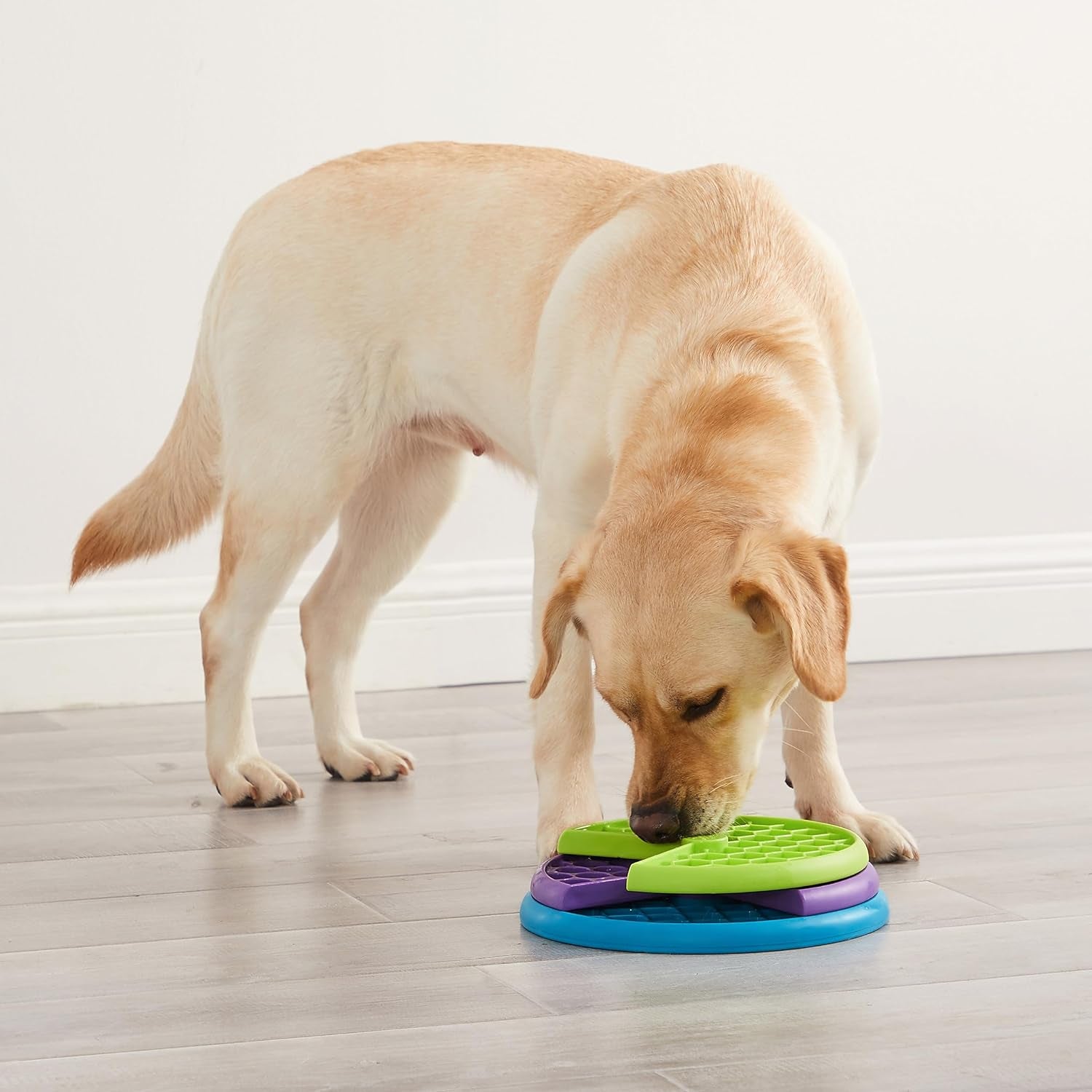 Modern Dog Puzzle Game - Slow Feeder & Lick Mat