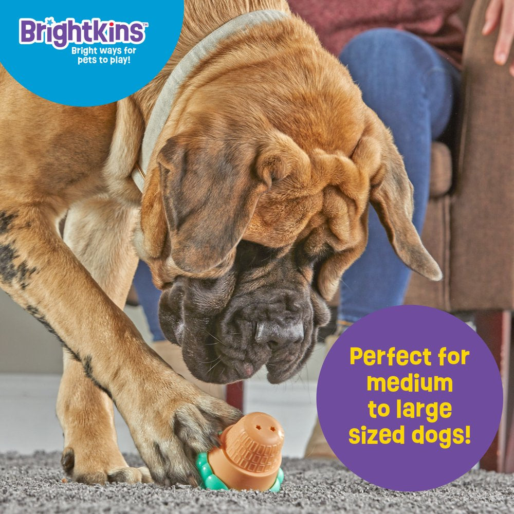 Ice Cream Dog Toy Treat Dispenser