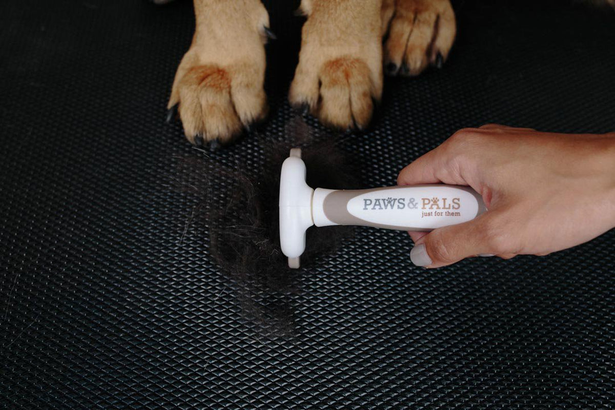 Pet Hair Brush Grooming Comb