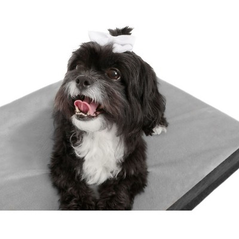 Modern Wooden Pet Bed with Mattress 