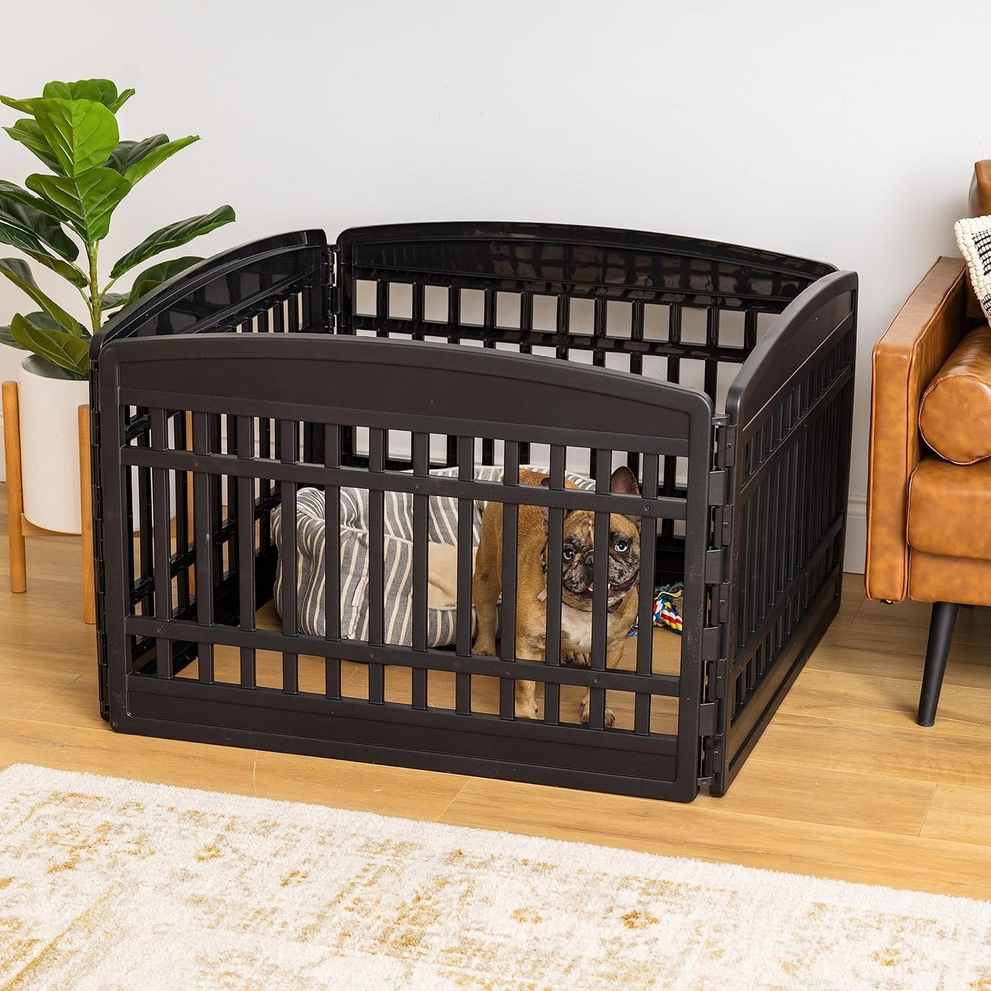 Dog Playpen