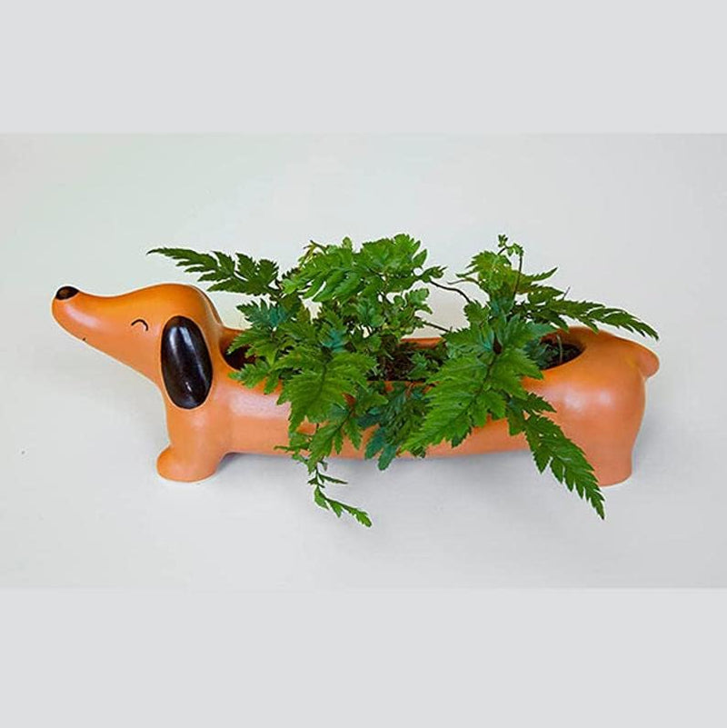 Dachshund Gifts as Daschund Weiner Dog Gifts for Women, Dachshund Planter, Planter for Succulents, Planters & Pots, Unique Planter, Novelry Planter (Orange)