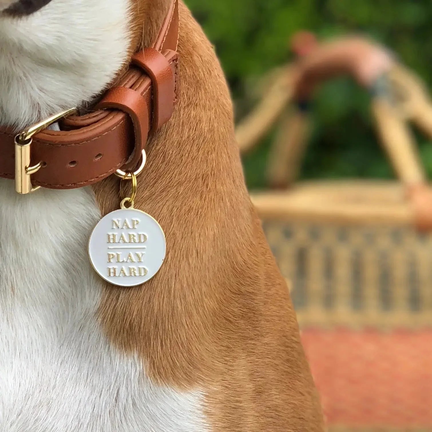 Nap Hard Play Hard Dog ID Tag