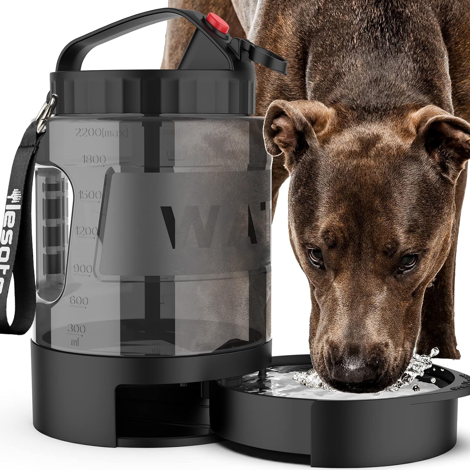 Dog Water Dispenser