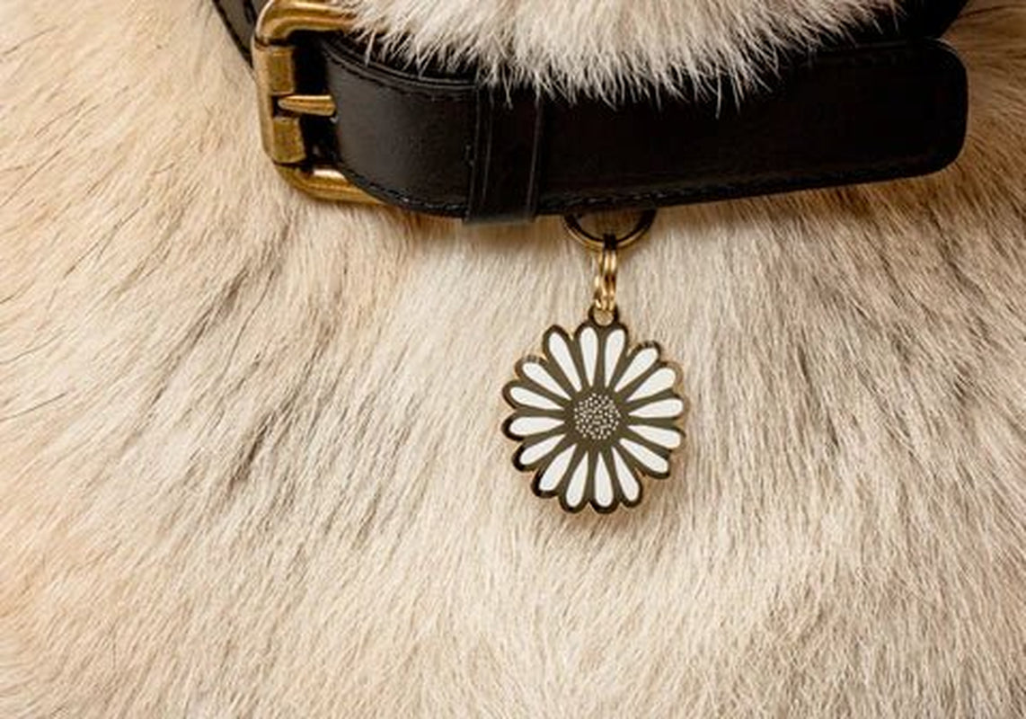 Daisy Dog ID Tag