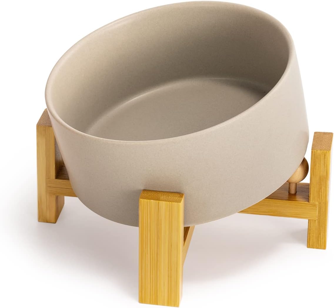 Modern Slanted Dog Bowls