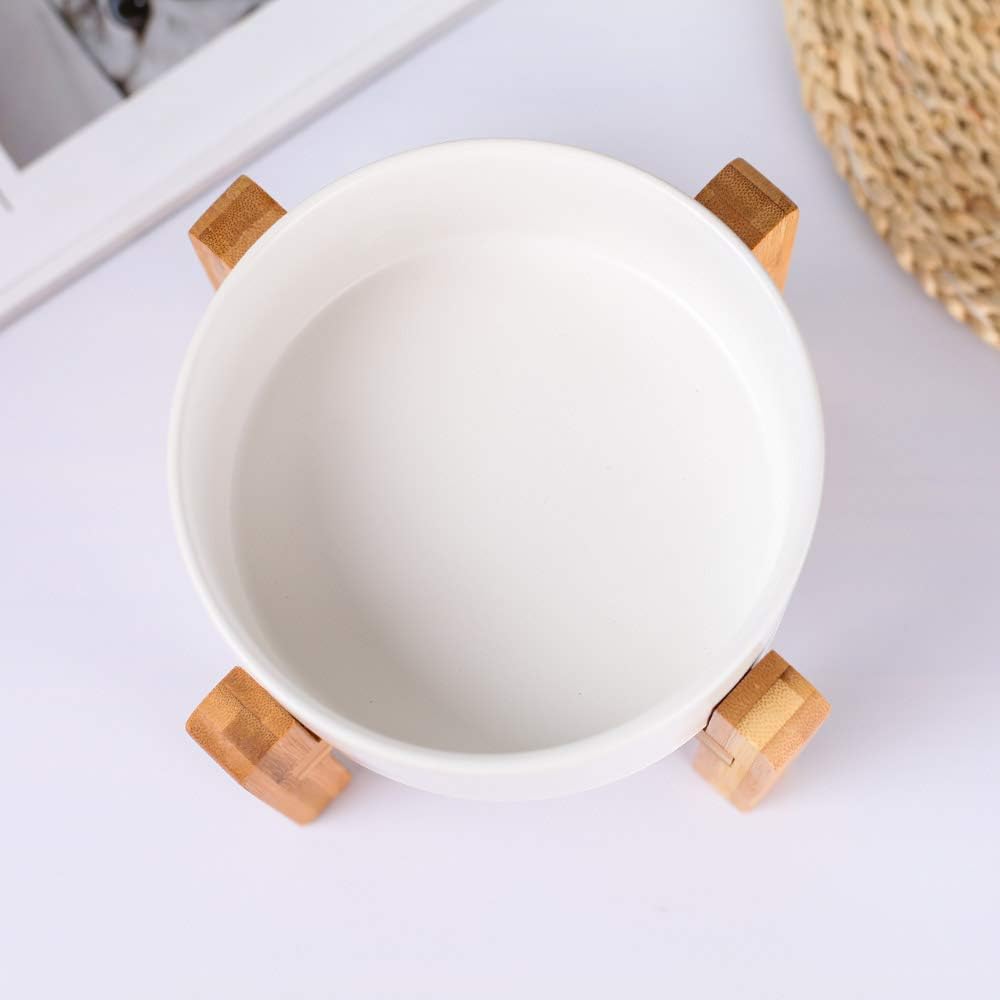 Modern Elevated Dog Bowl