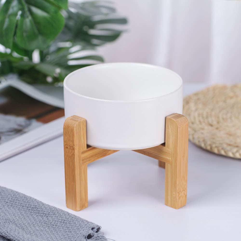 Modern Elevated Dog Bowl