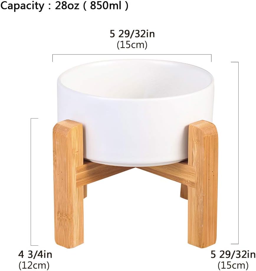 Modern Elevated Dog Bowl