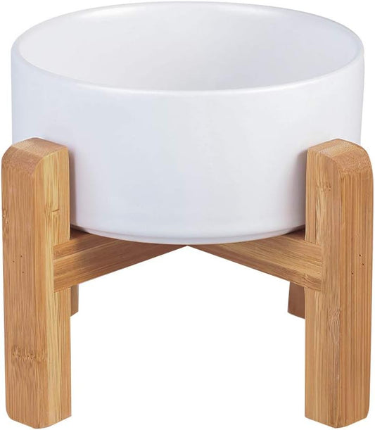 Modern Elevated Dog Bowl