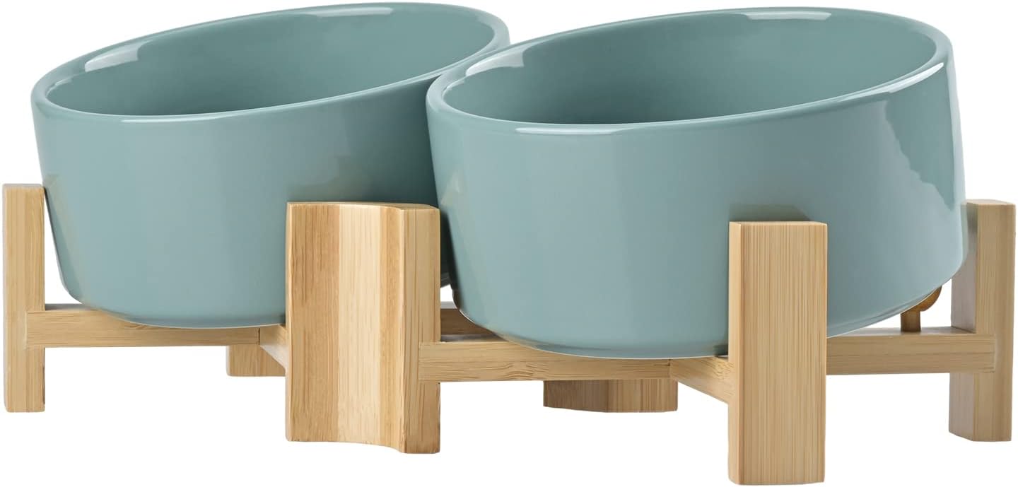 Modern Slanted Dog Bowls