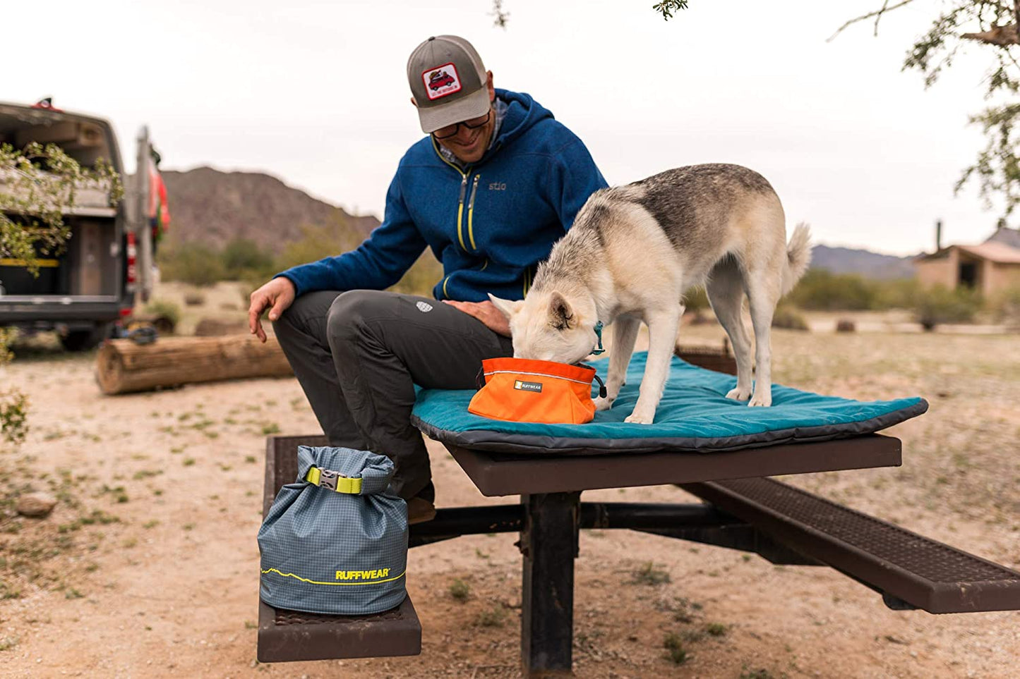 Modern Dog Food Storage