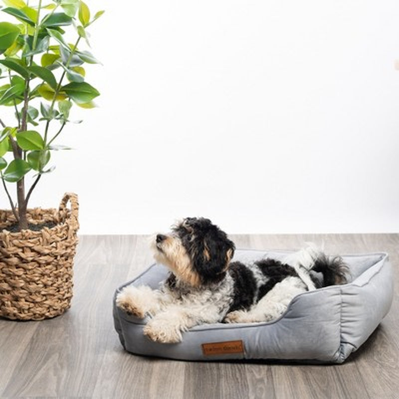 Modern Luxury Cuddler Dog Bed