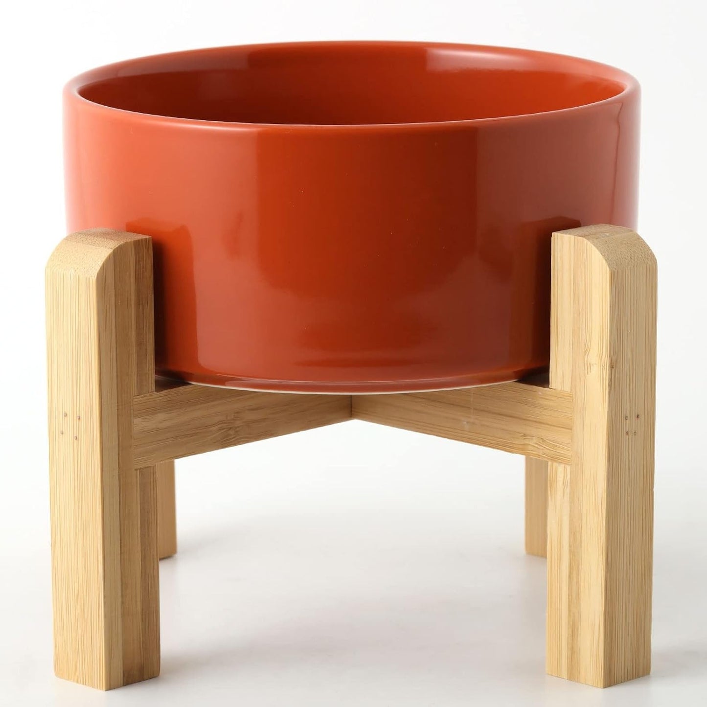 Modern Elevated Dog Bowl