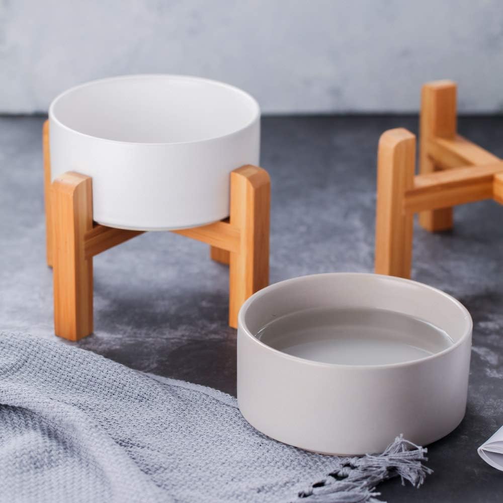 Modern Elevated Dog Bowl