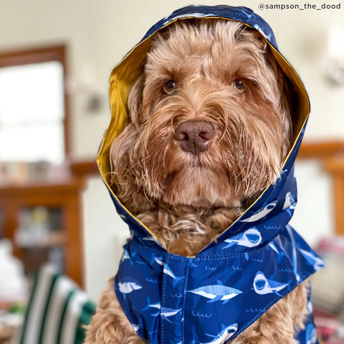 The Shark Attack Reversible Raincoat