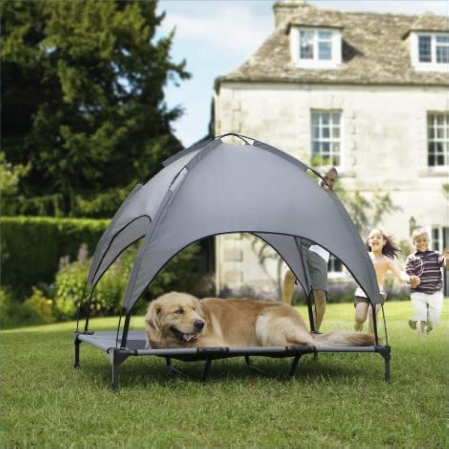 Large Elevated Dog Bed with Canopy