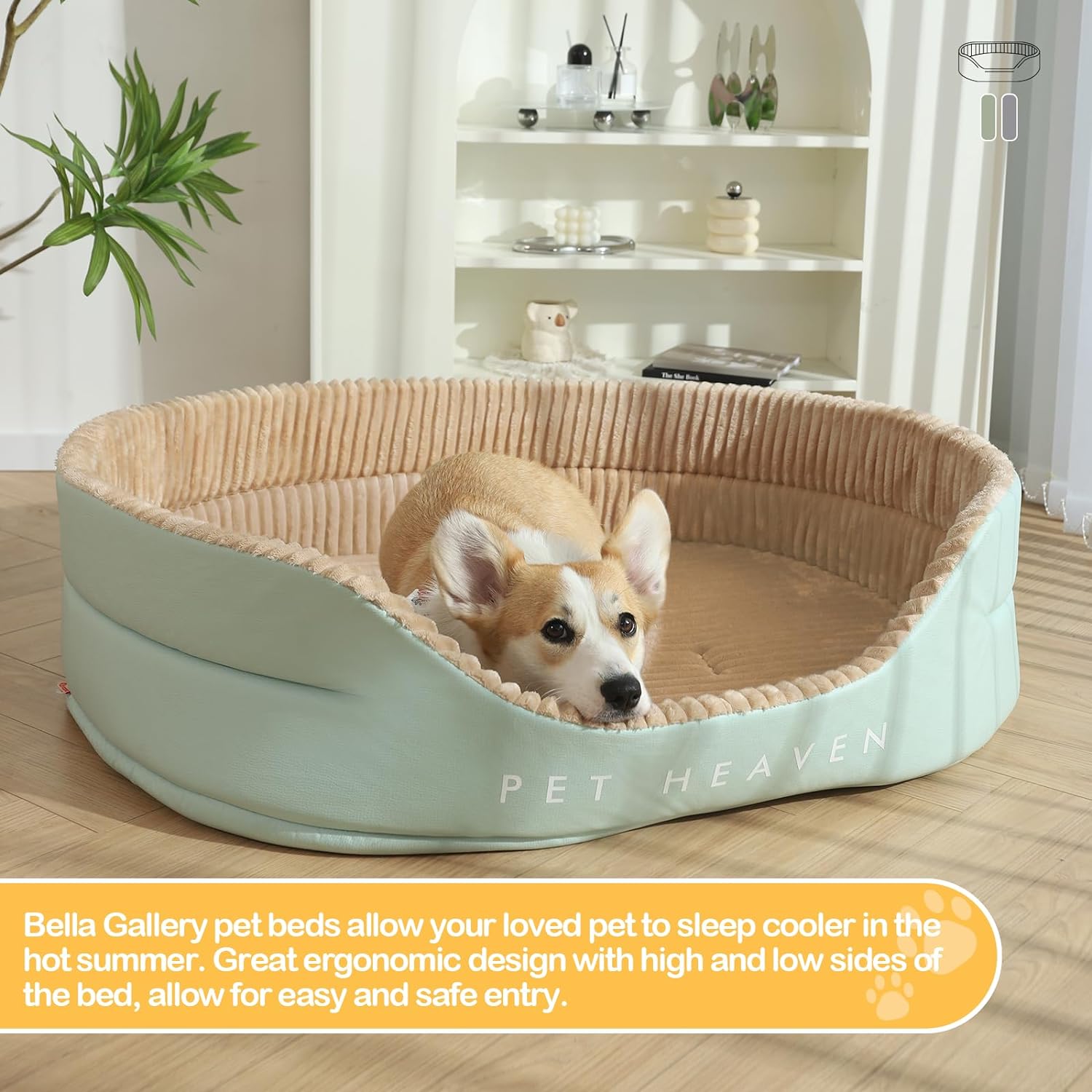 Modern Dog Bed - Large