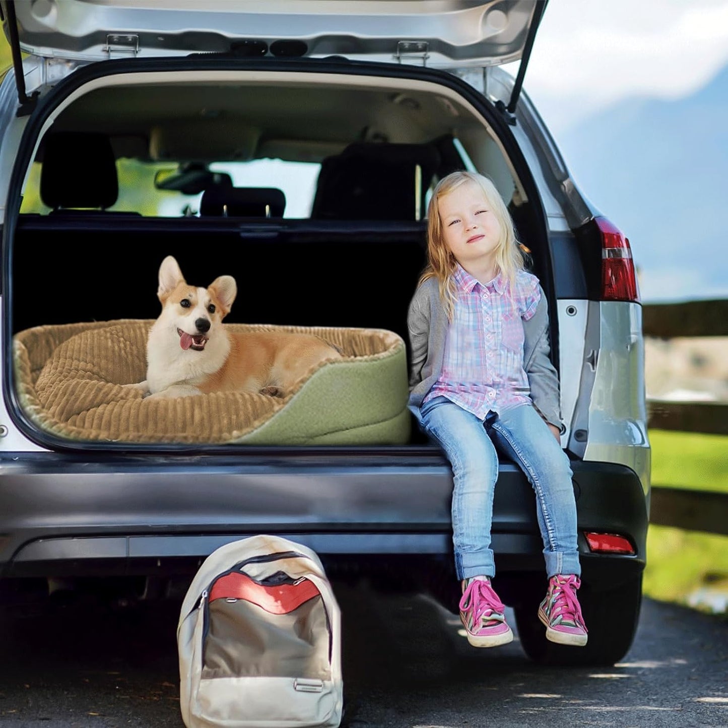 Modern Dog Bed - Large