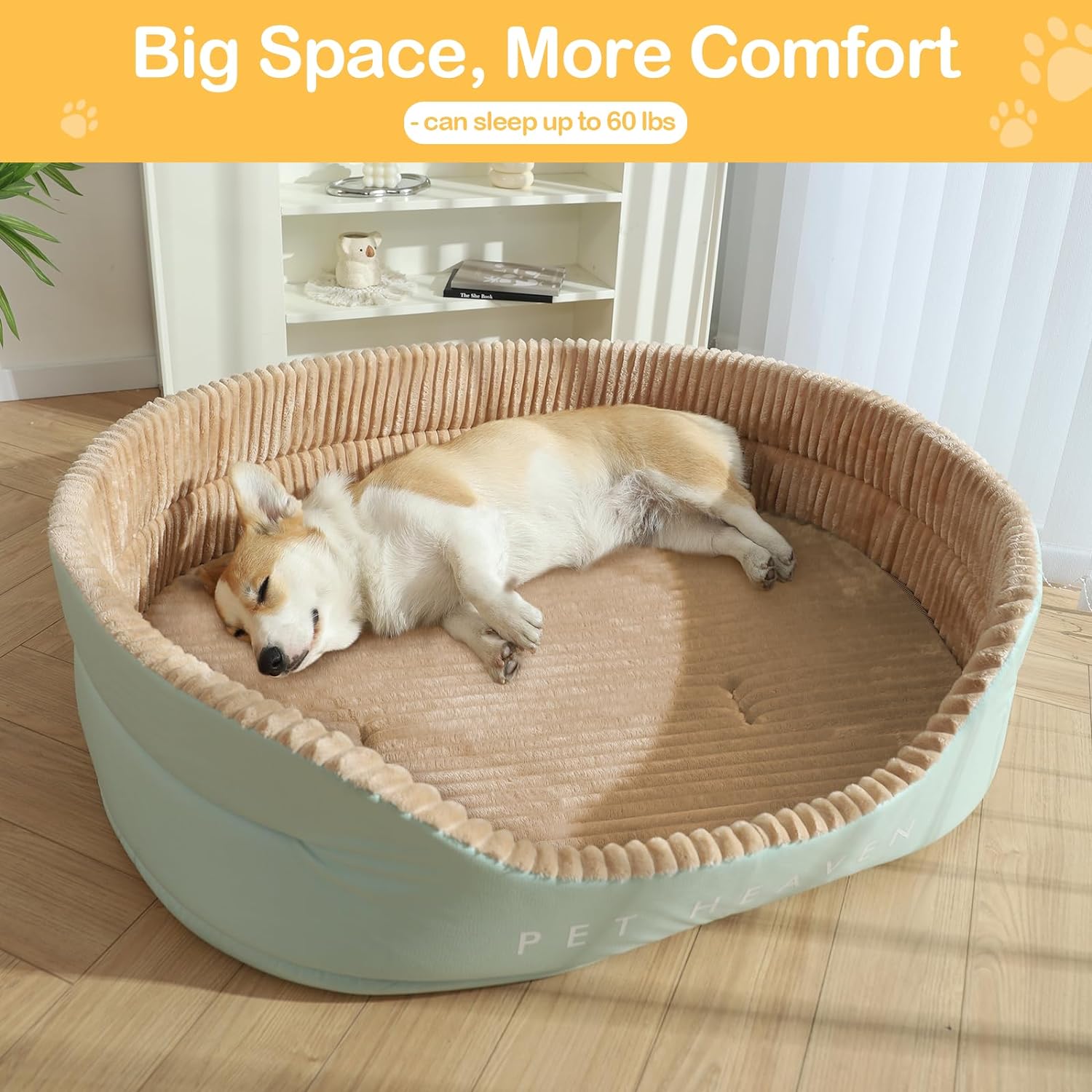 Modern Dog Bed - Large