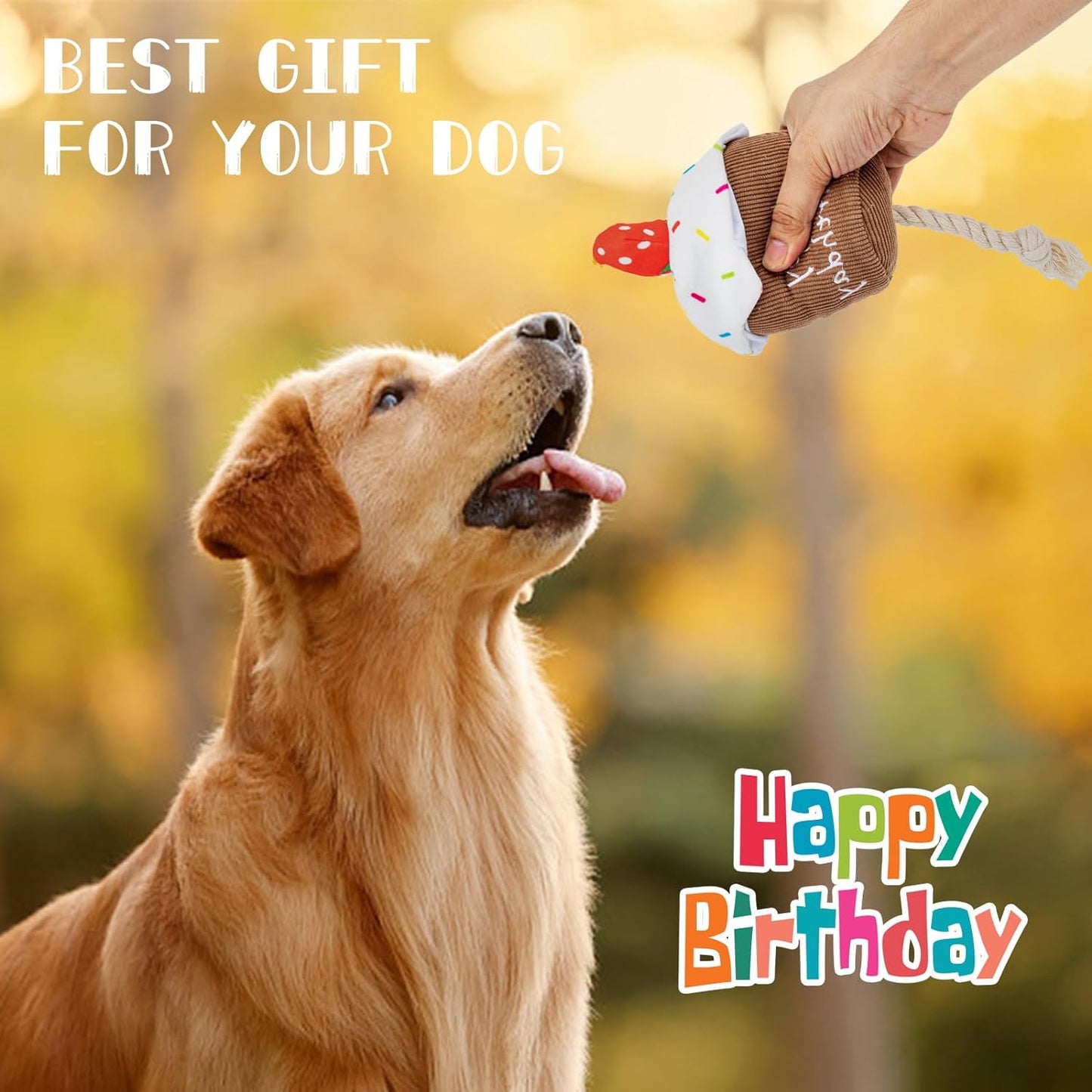 Dog Birthday Tug Toy