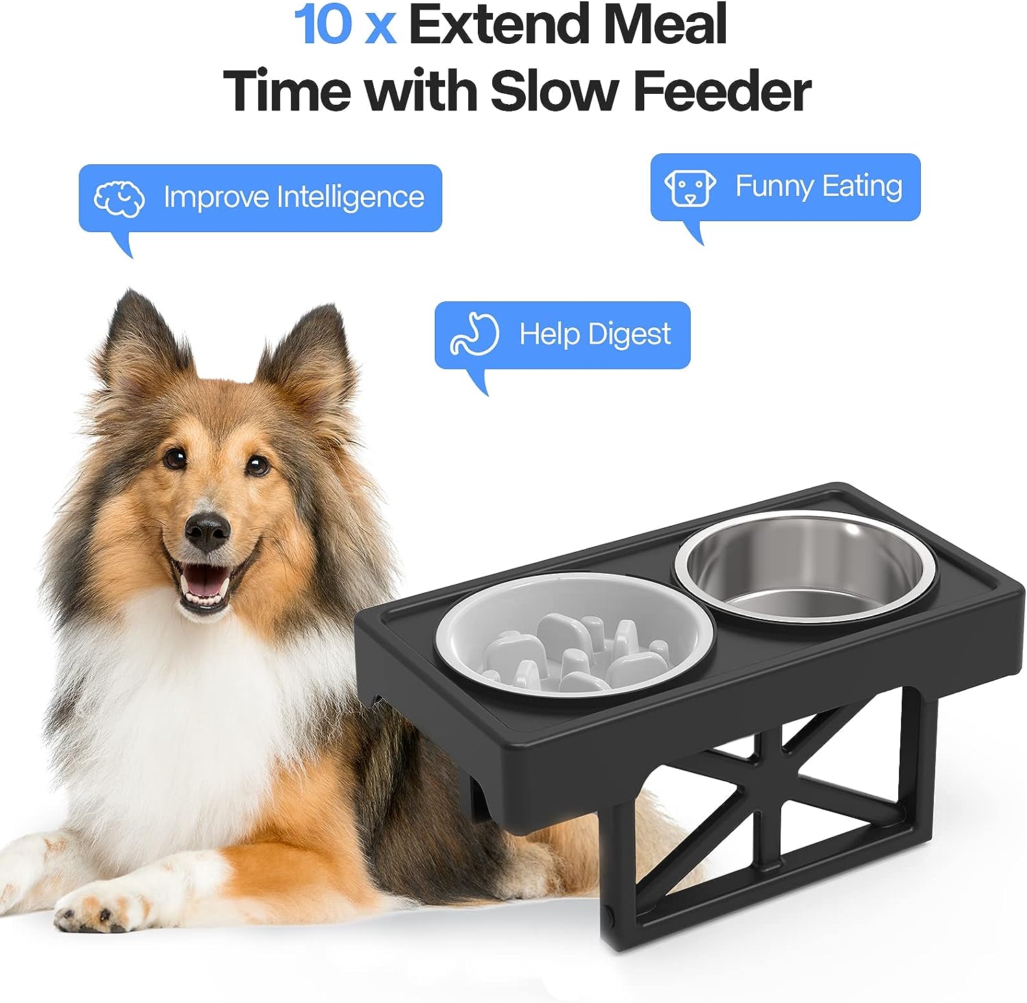 Modern Elevated Dog Bowls - 3 Adjustable Heights