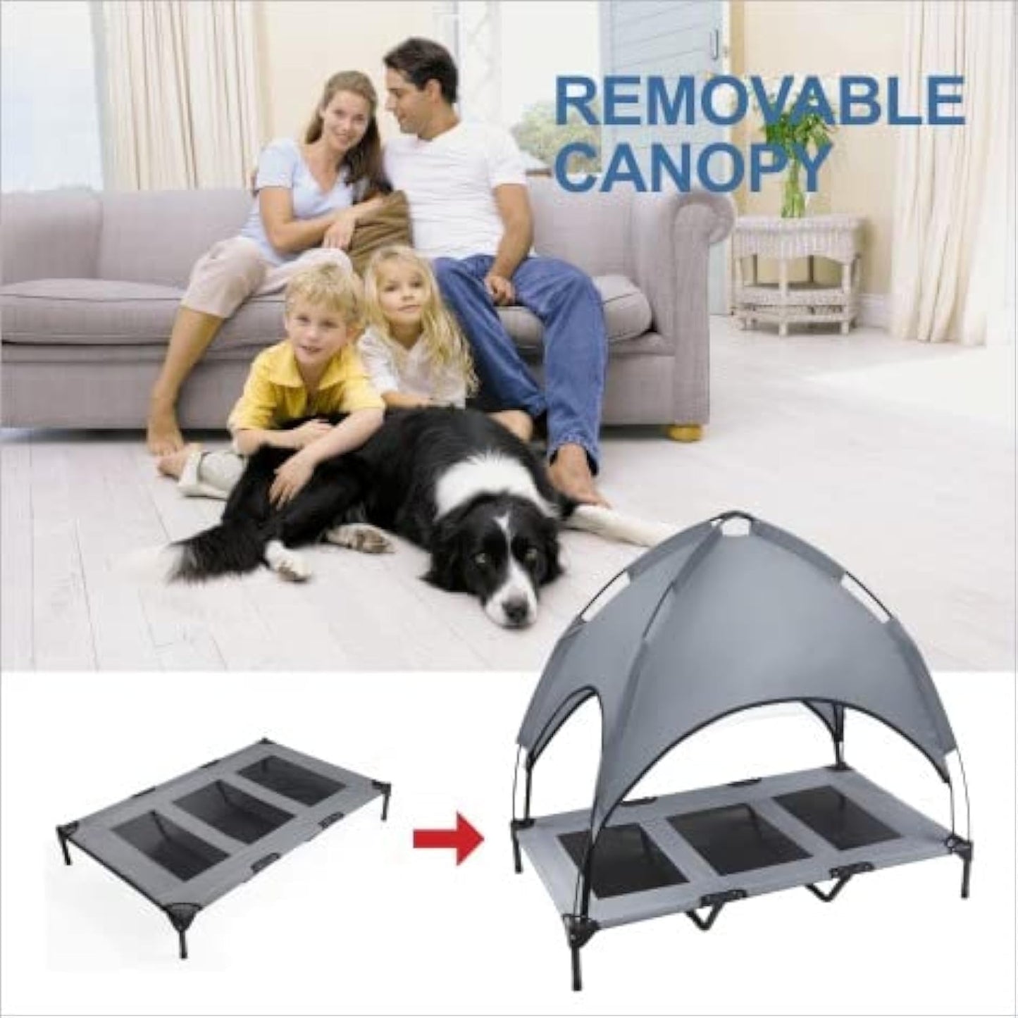 Large Elevated Dog Bed with Canopy